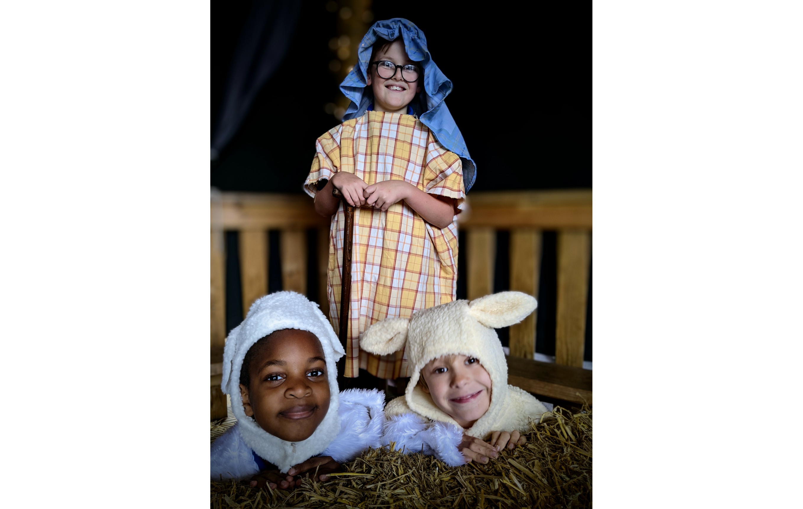 shepherds and sheep 1